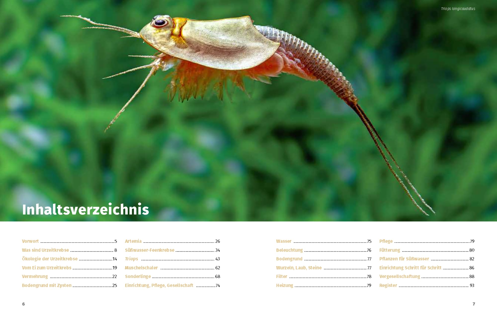 Urzeitkrebs-Fibel: Triops, Feenkebse, Artemia & Co.