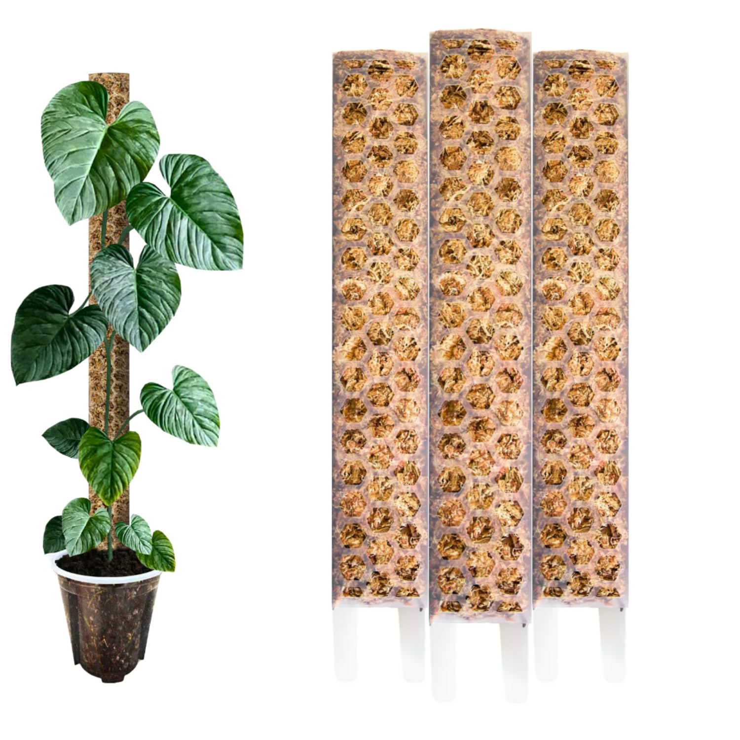 Tuteur Monstera 35 cm (M) 10 pièces, Mate – Tuteur Sphaigne Extensible, Moss Pole pour Plantes Grimpantes, Support pour Monstera, Philodendron et Plantes d’Intérieur