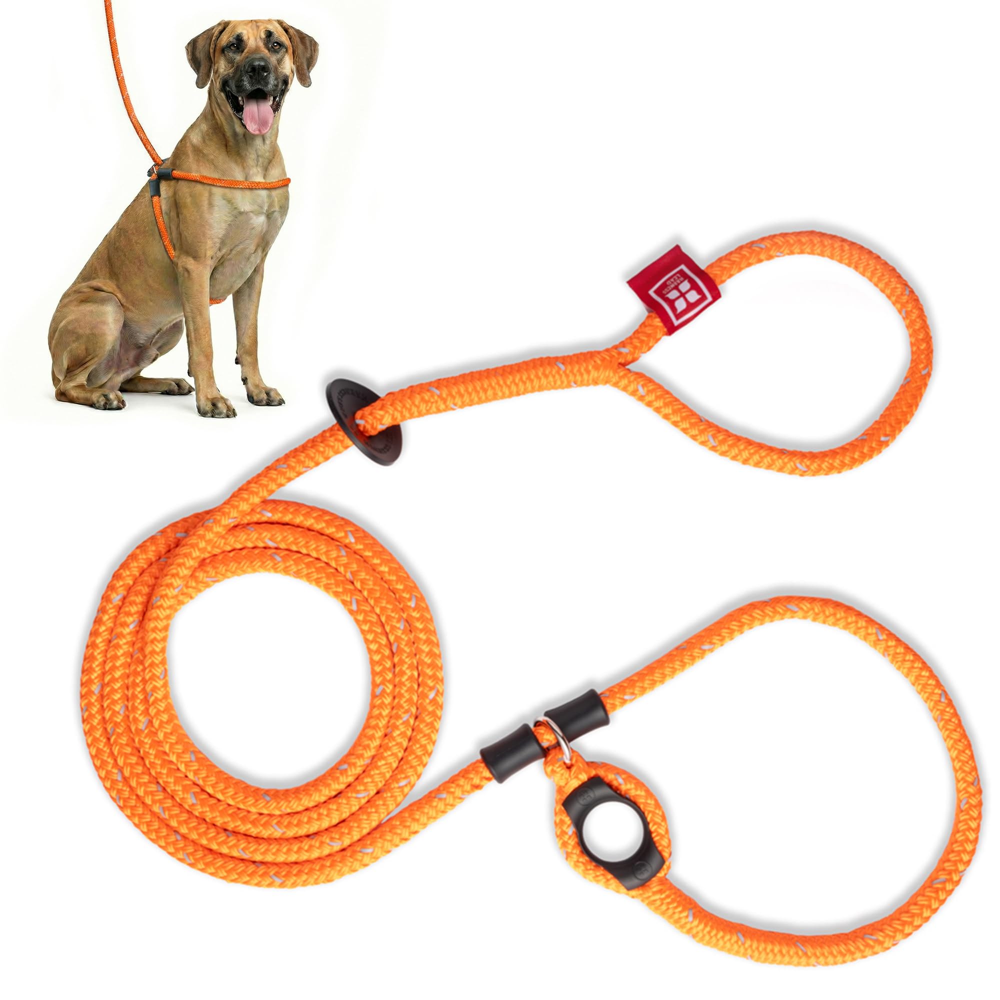 Harness Lead Juego de arnés y Correa para Perro sin tirones, arnés antitirones para Todas Las Razas y tamaños, diseño de Cuerda Acolchada de una Sola Pieza Que Evita Que se Escape y tirones (XL,