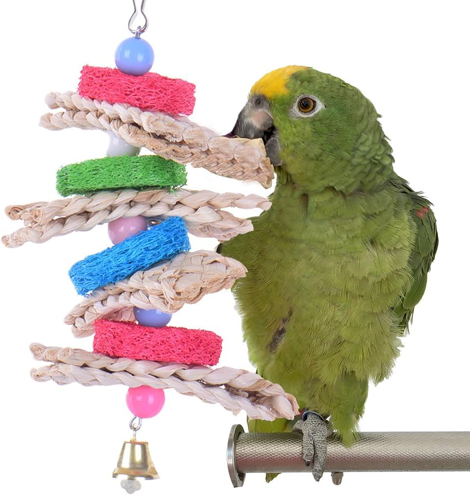 HypeetyPet Bird Parrot Bite Swing Chewing Toy Natural Sepa Takraw with Swing Bell