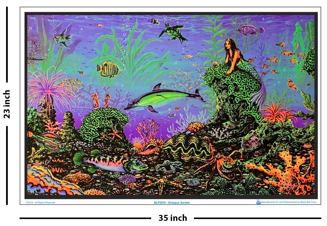Amazon.com: Scorpio Posters Octopus Garden (by Michael Fishel