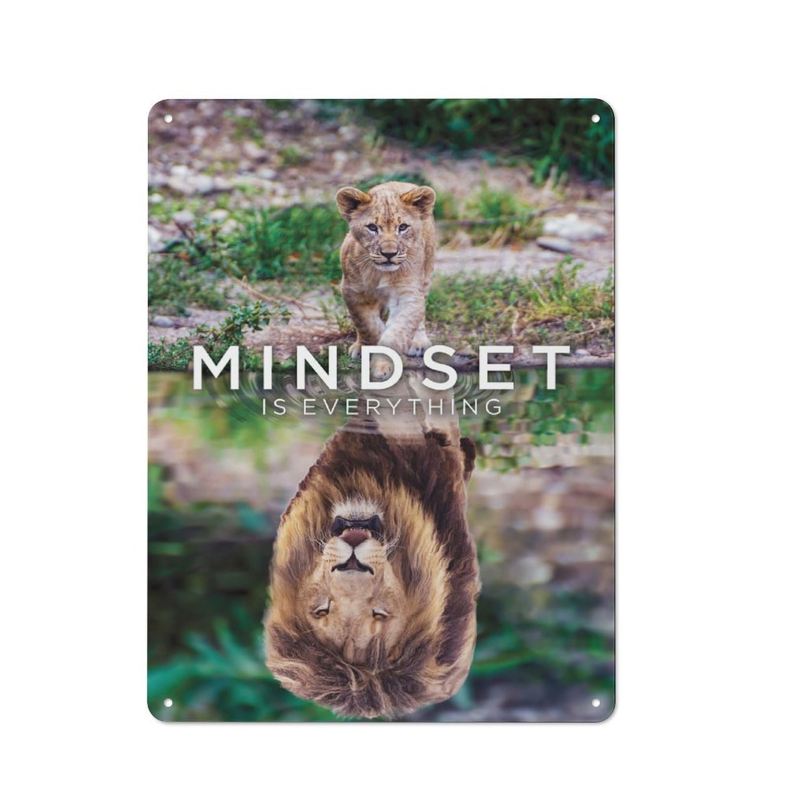 Junmoney Style-20 Metal Sign 40X30cm With Lion Mindset Is Everything For Hallway Wall, Vintage Decor, For Vintage Wall Decor Fans, For Themed Room Decoration