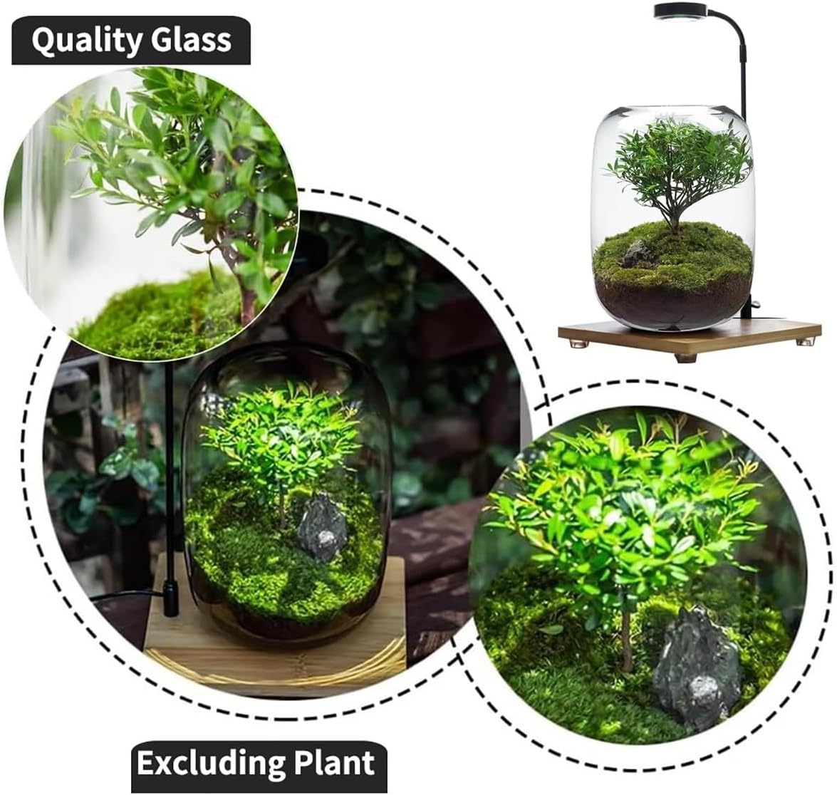 Glass Plant Terrarium with LED Light Plants Containers Office Home Ornamental Plant Glass Container Indoor Flower Pot Micro-Landscape with Grow Light Set Moss Vase Planter Terrariums(Clear)