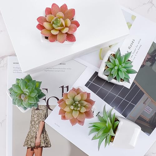 Miniatura 6 de FUNARTY 5pcs Artificial Succulent Plants, Small Fake Desk Plants Mini Succulents Indoor for Shelf Living Room Bedroom Windowsills Office Home