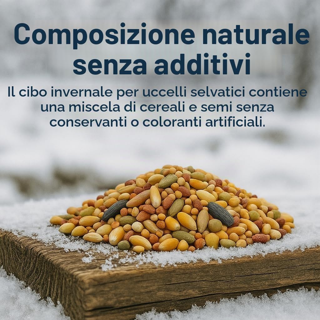 GiDeli Mangime invernale per uccelli, 25 kg, per uccelli selvatici, tutto l'anno, per giardino e balcone, con semi di lino, ricco di omega-3, calcio, senza additivi