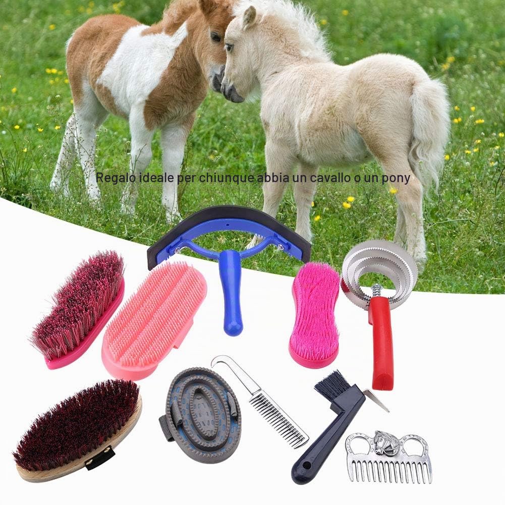 Hztyyier Spazzola per Massaggio del Cavallo, Pettine per Cavallo Kit per la toelettatura del Cavallo Strumento per la Pulizia del Cavallo Misura Portatile con Zoccolo prurito per Giardino all'aperto