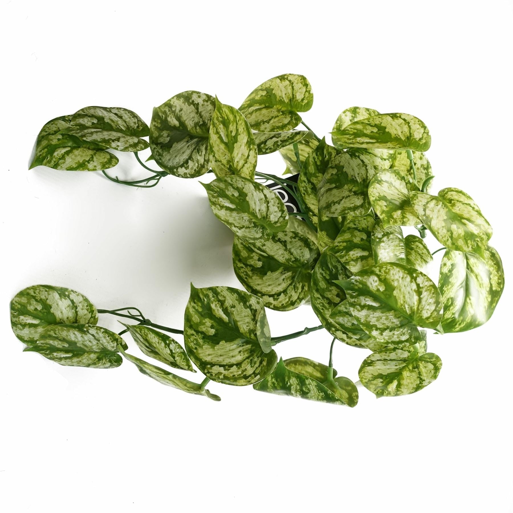 B&Q -  35Cm Artificial Trailing Light Natural Look Plant Realistic