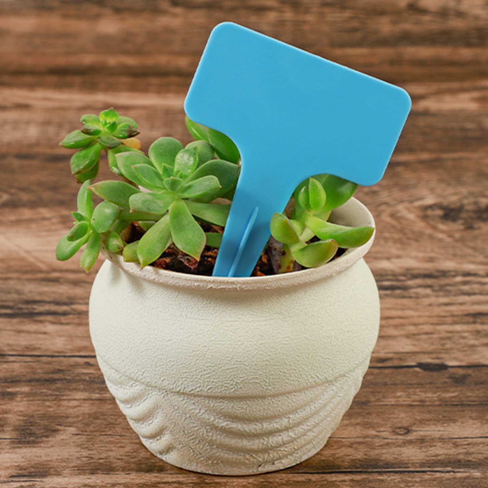20 STKS T-vorm Tuinlabels, Waterdichte Dikke Plastic Plantenmakers, Verdikking Tuinplant Tag, Plantenclassificatie Sorteerbord Tag, Kwekerij Labels voor Tuin Groente Bloemen Plant(Lichtblauw