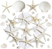 JQAQJU 16pcs Natural Starfish & Scallop Shells 3-4in with Pearls for Crafts, Beach Wedding, Nautical DIY Decor