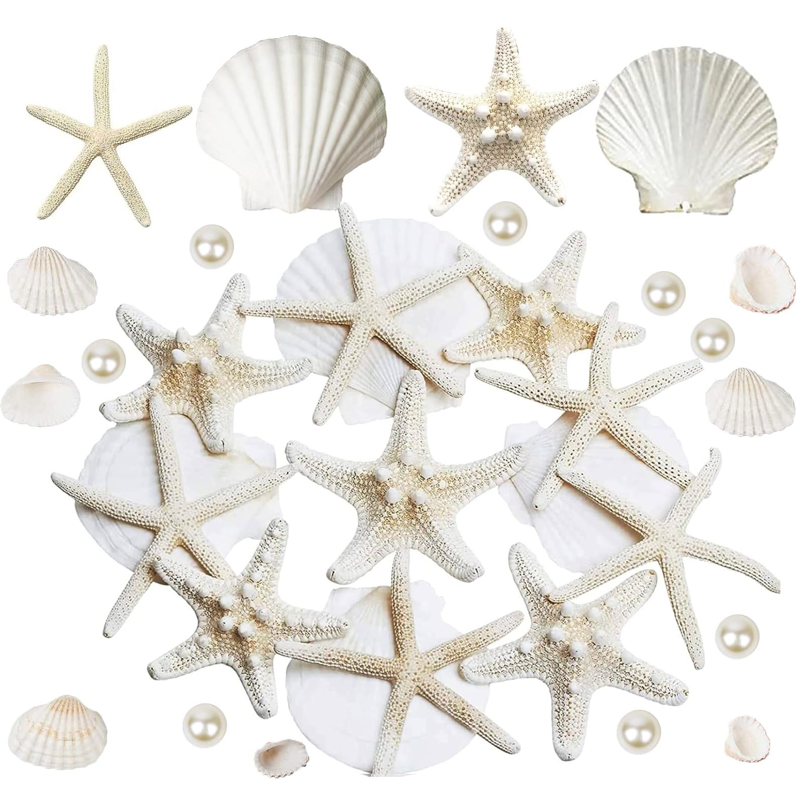 16PCS Starfish and Scallop Shells