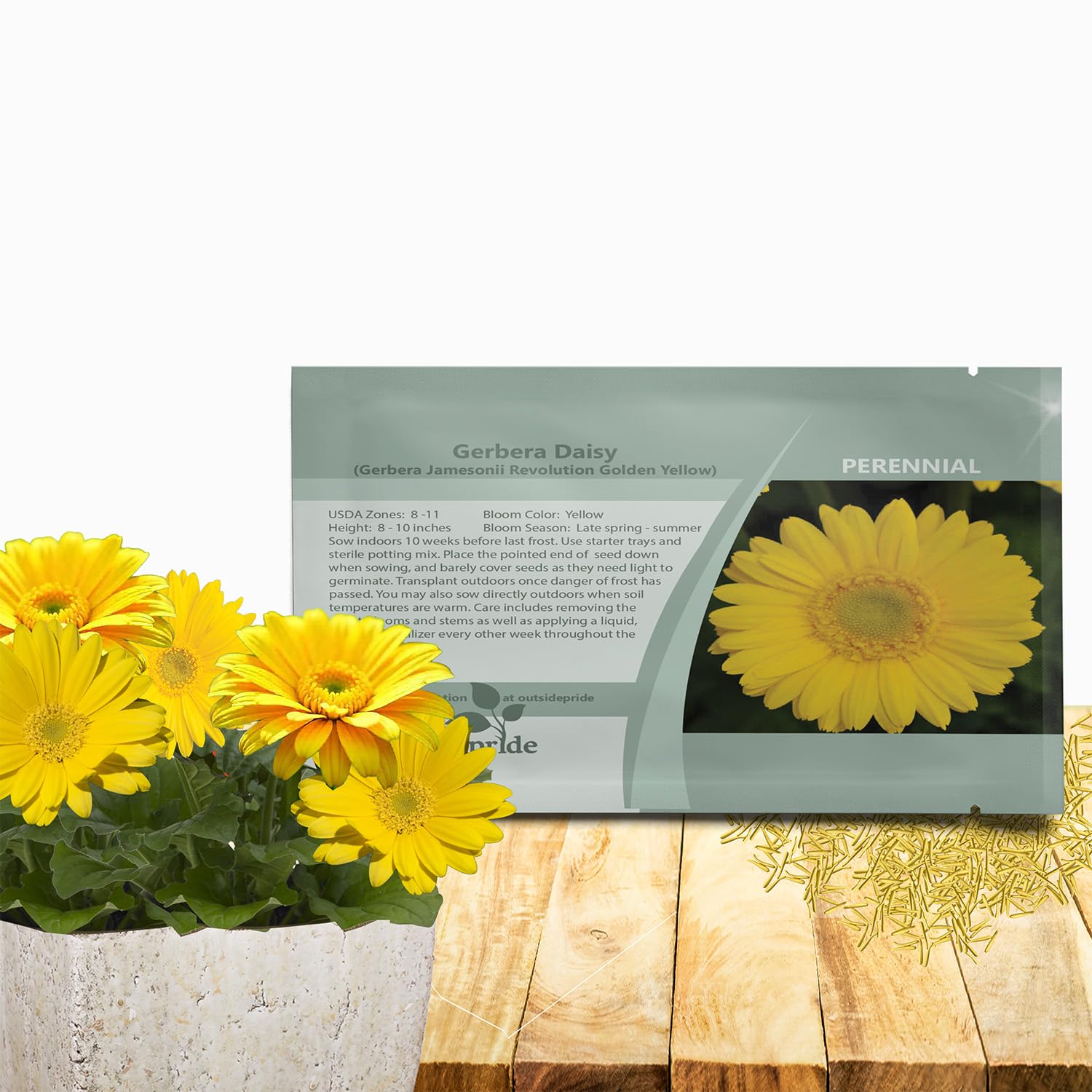 Outsidepride Golden Yellow Gerbera Seeds - 20 Pcs Perennial, Compact & Low Maintenance, Flower Seeds for Planting w/Dazzling Yellow Blooms, Ideal for