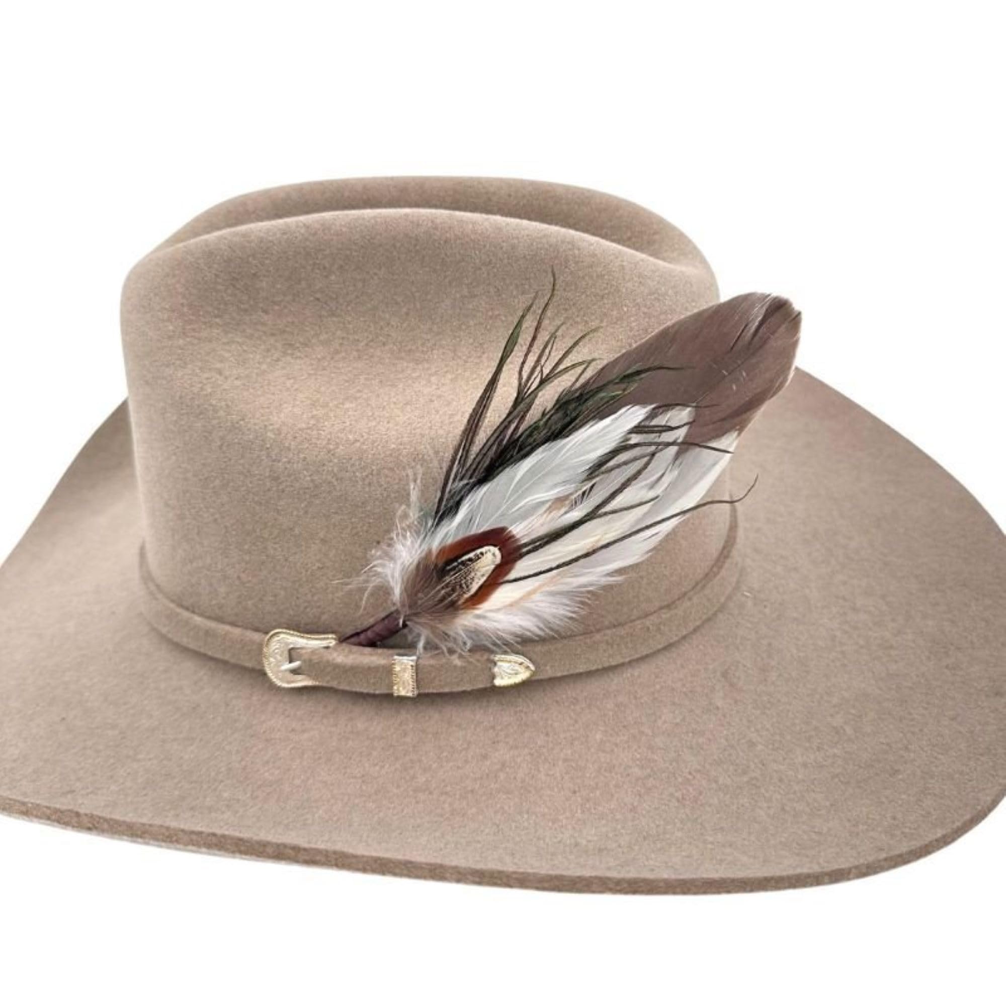 Feather Hat Accent for Cowboy Hats, Western Accessories, Feathers for Hats, Strut'n