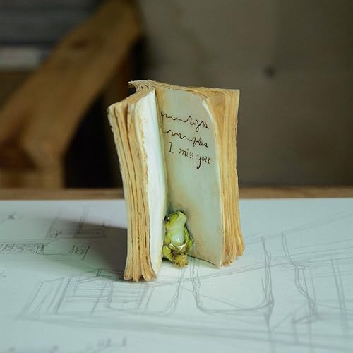 Miniatura 2 de Top Collection Miniatura jardín de hadas y rana terrario escondida en figura de libro