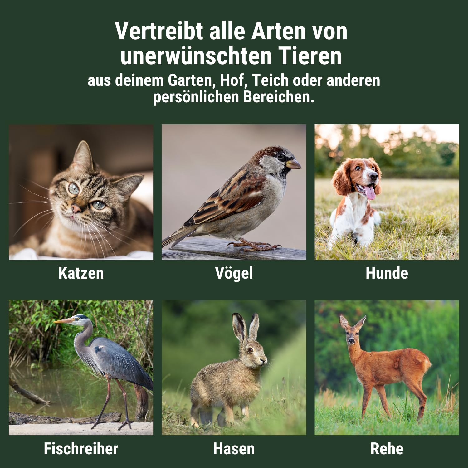 Agrarzone Ultraschall Tiervertreiber Solar Plus Tierabwehr Schädling