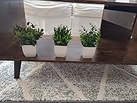 Review Image by Edhinson Marques Edhinson Marques