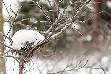 Review Image by Mike Vande Ven Jr.