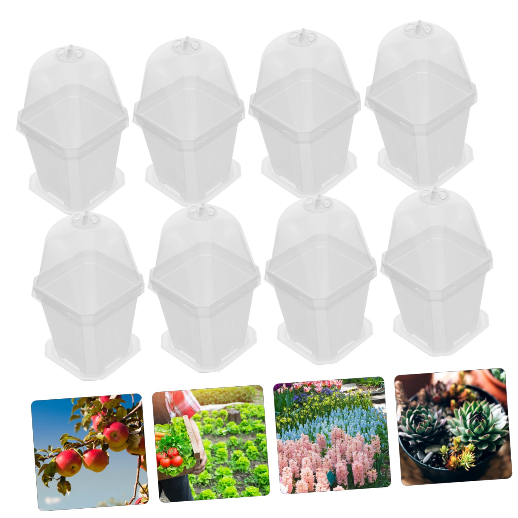 Happyyami 10 Piezas Macetas de Plástico con Tapa y Drenaje Contenedores para Jardín Macetas Transparentes para y Verduras