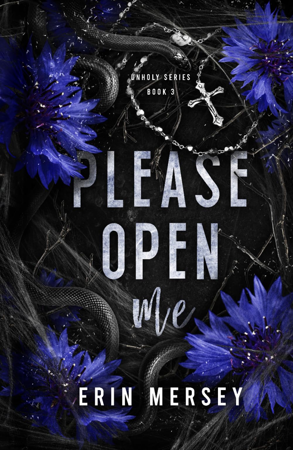 Please Open Me: Unholy Series Book 3
