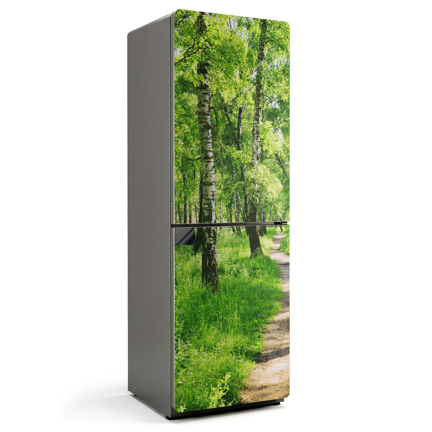 Tapis magnétique cuisine 60x180 cm sentier forestier fini mat