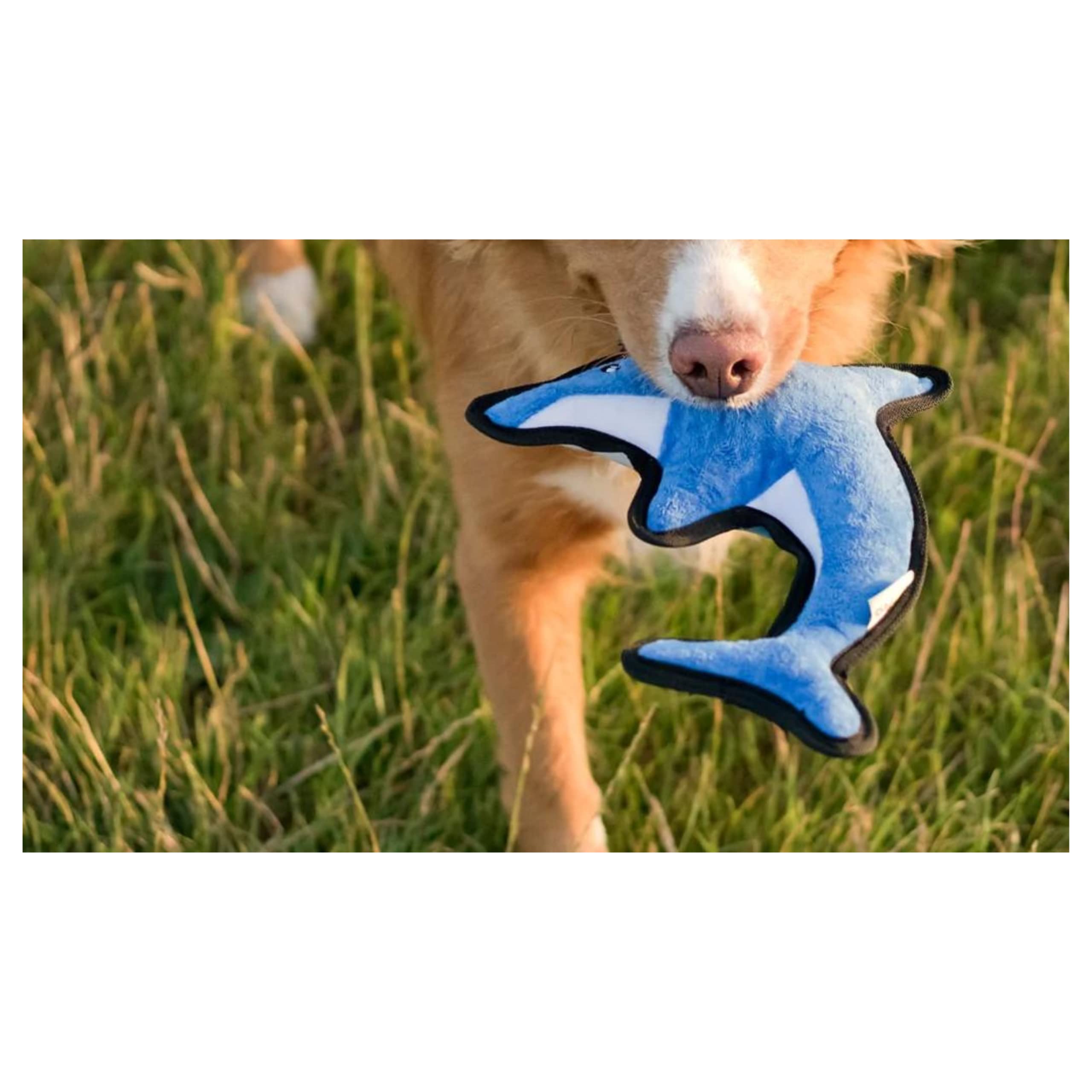 Beco Jouet pour Chien en Forme de Dauphin recyclé Rugueux et résistant | Cadeaux pour Chiens | Jouets de Noël pour Chien | Cadeaux pour Chiens