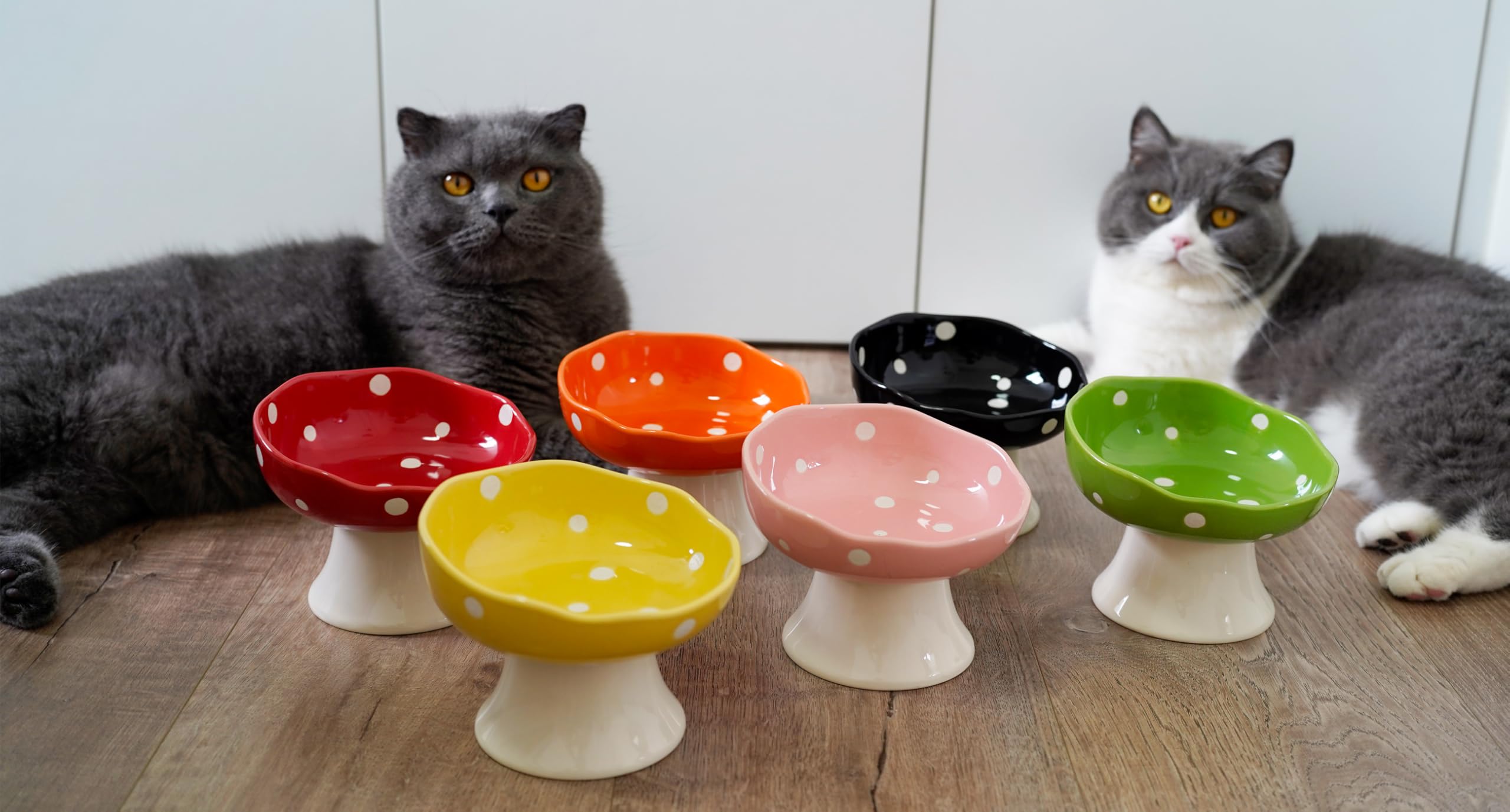Ciotole per gatti rialzate in ceramica, inclinate, rialzate, anti-vomito, per gatti da interni, ciotola per cibo e acqua per animali domestici per gattini, gatti, cuccioli, lavabile in lavastoviglie