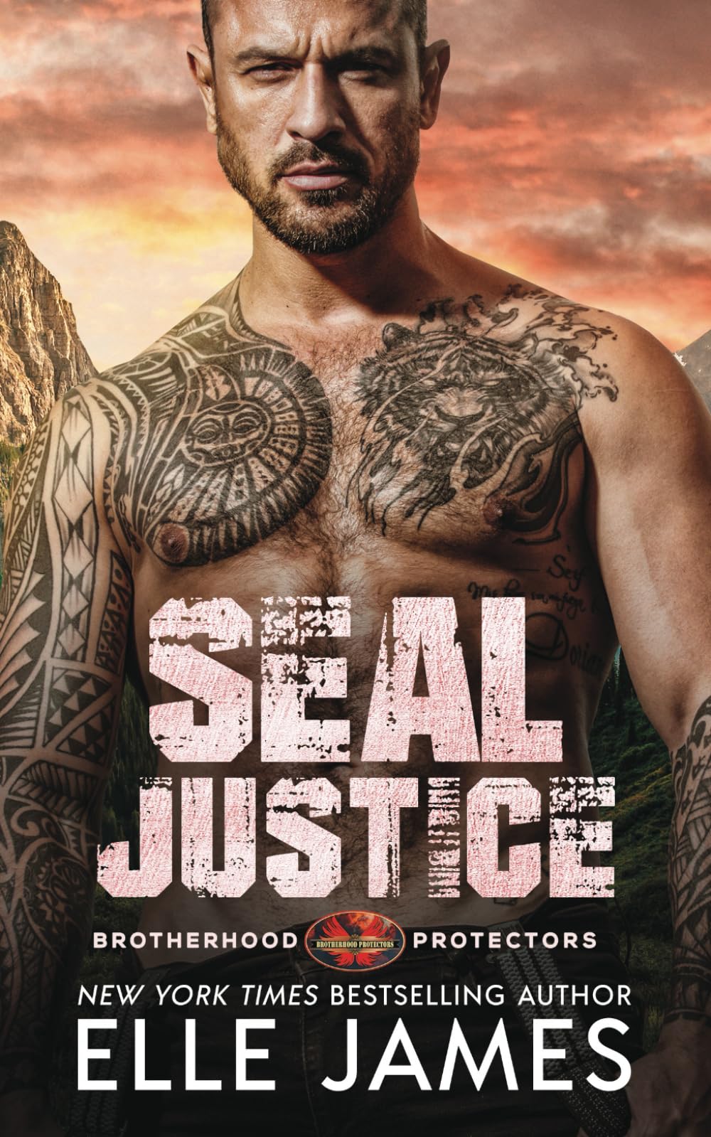 SEAL JUSTICE: 13 (Brotherhood Protectors)