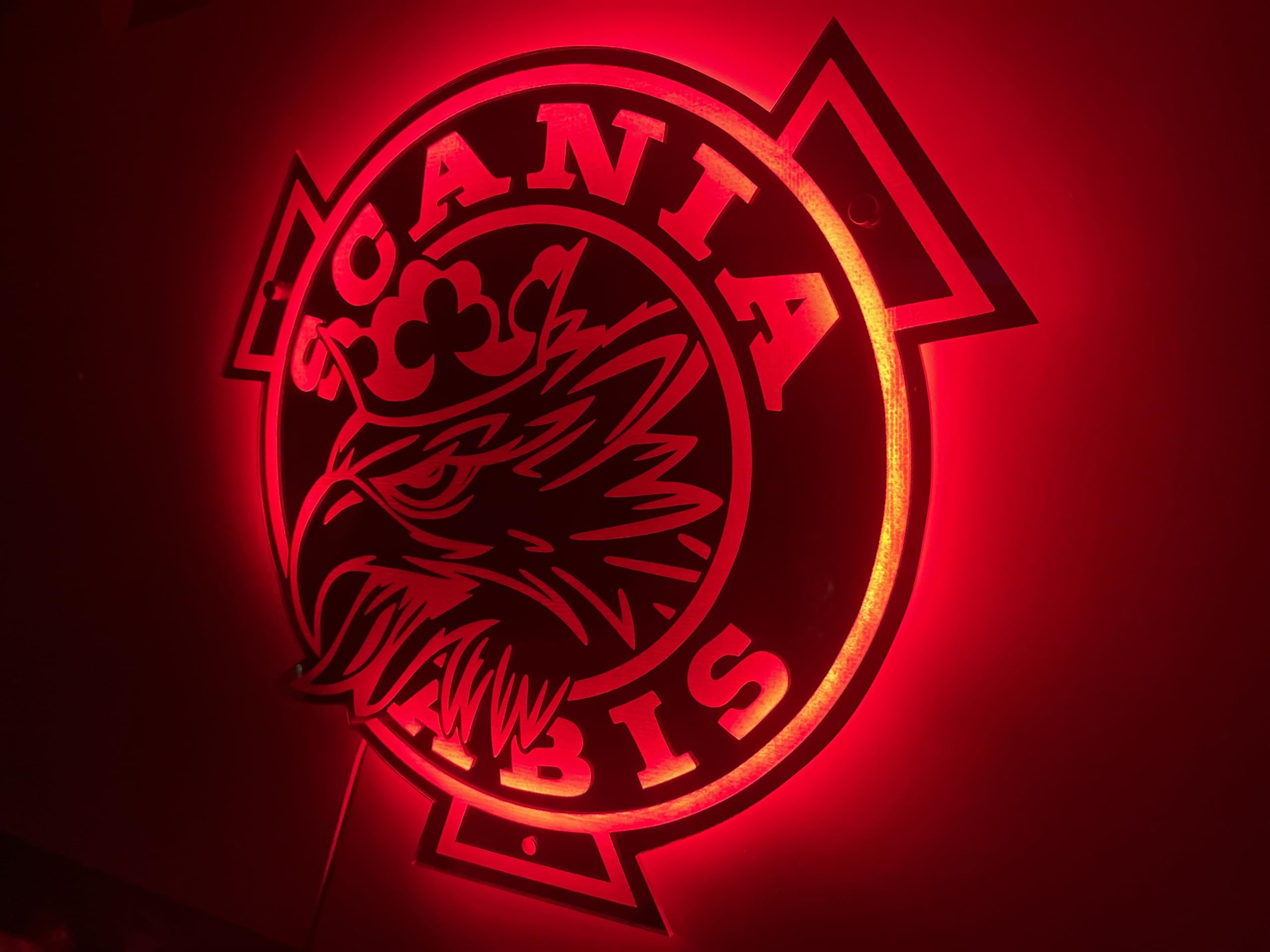 Scania Targa LED 50x50 cm - Accessorio Con Potenza Luminosa Regolabile - Targa LED Posteriore Greif