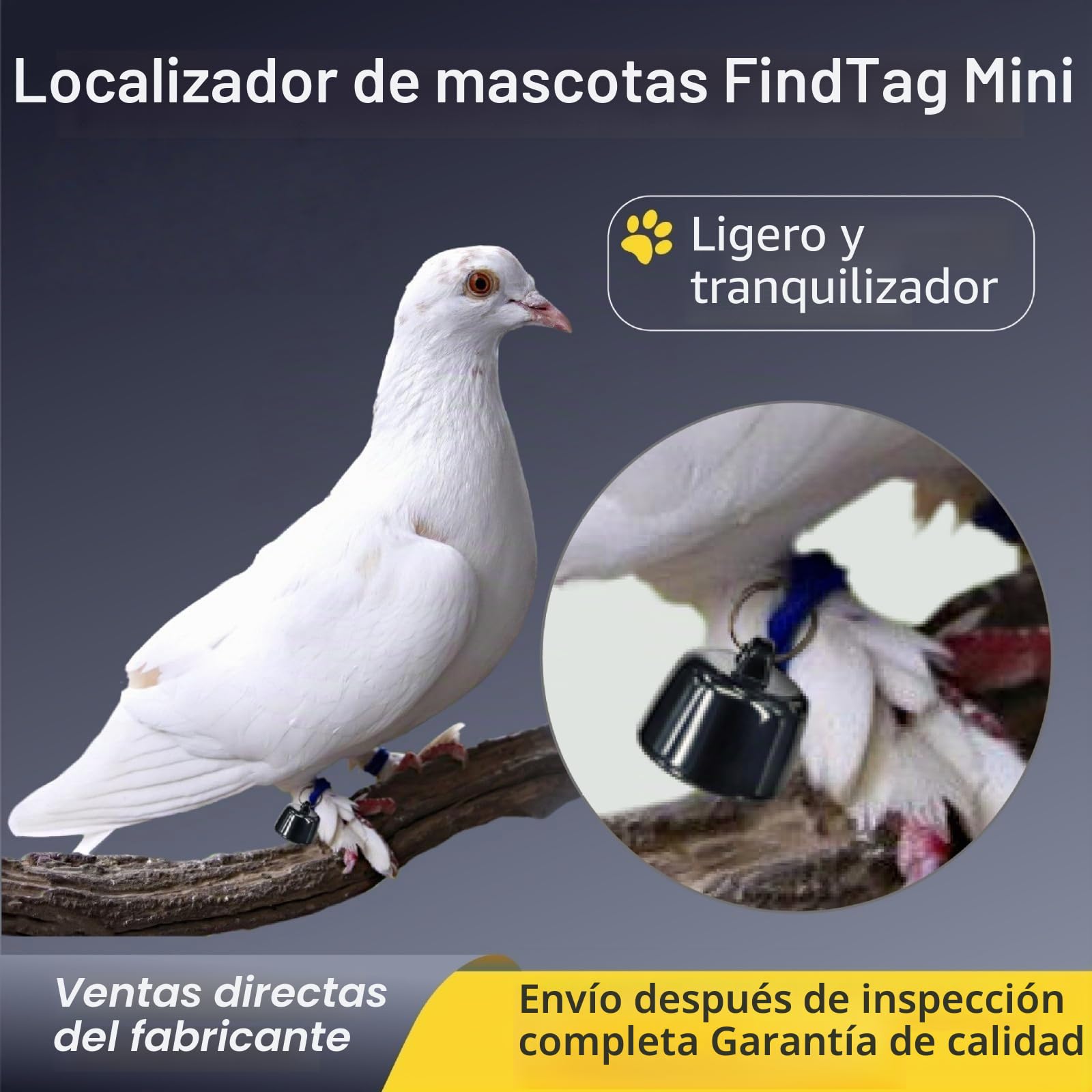 Collar Localizador GPS para Gato y Perro — Mini Localizador GPS para Gato – Seguimiento Mundial – sin Costos Adicionales – Compatible con iOS y Android – para Cualquier Collar – Localización