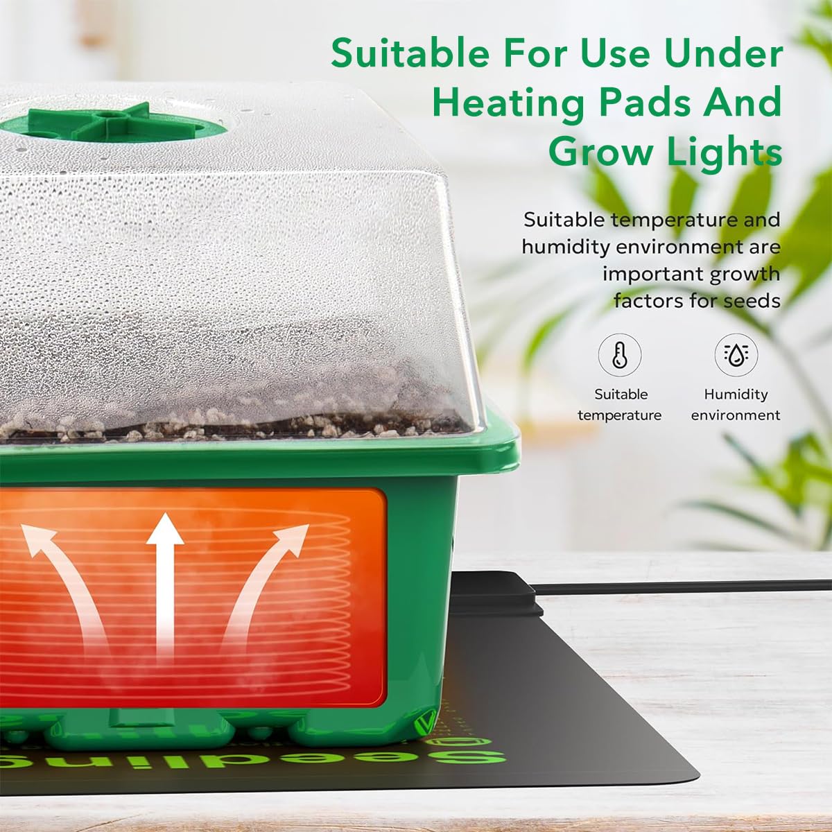 HASTHIP Seedling Trays - Germination Kit -2