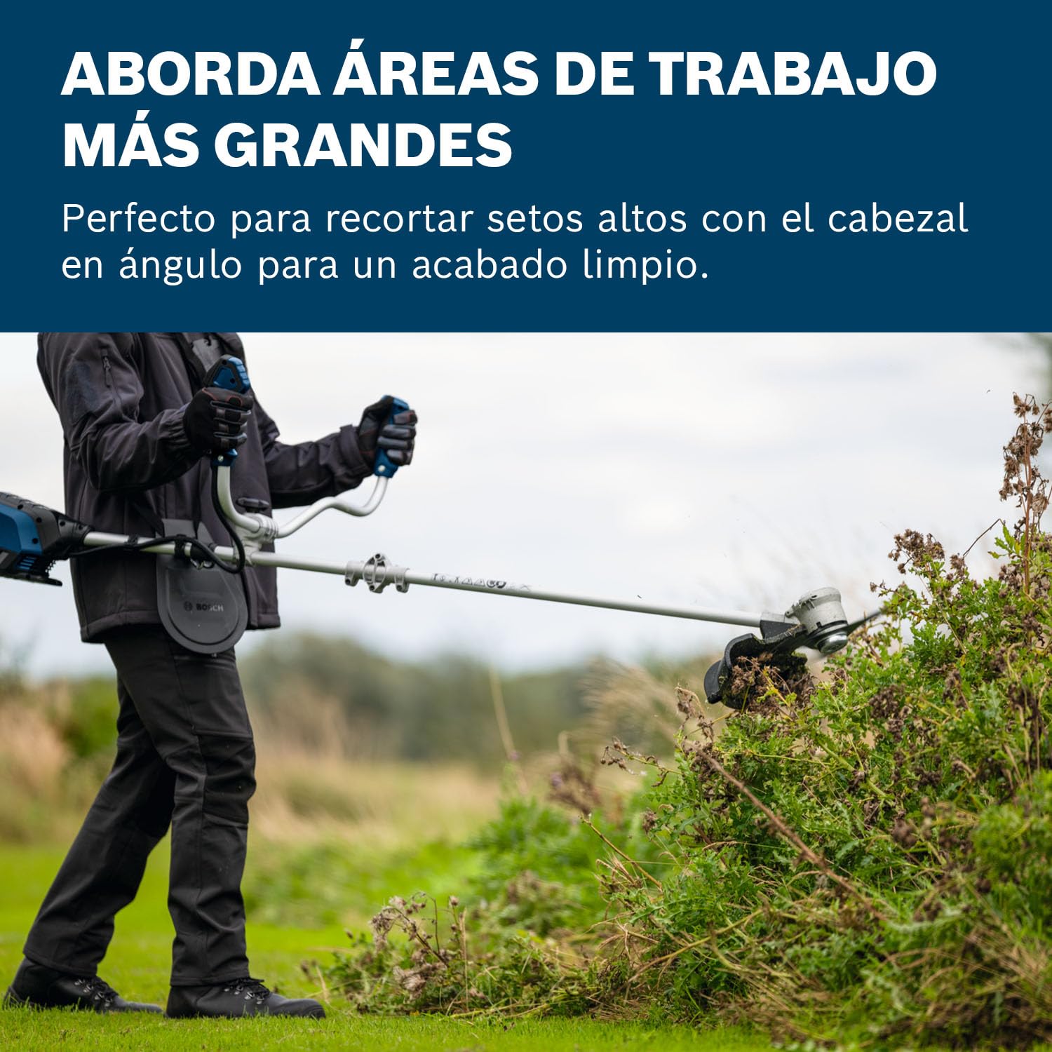 Bosch Pro desbrozadora a batería GFR18V-25 BH (motor Brushless sin escobillas de 600 W, corte de cuchillas: 25 cm, corte de línea: 40 cm, sin batería)