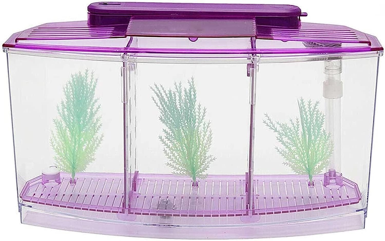 Fish Reptile Feeding Terrarium Box Tortoise Lizard Reptile