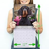 Vista 176 de Razas de Perros 2017