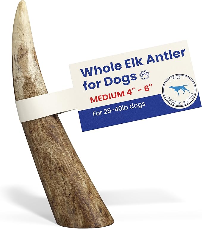 The Proper Hound 3 Pack Whole Elk Antlers for Dogs [Long