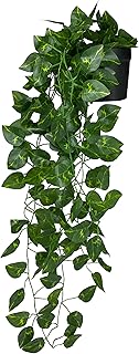 Tdas Artificial Plants with Pot Leaves Hanging Ivy Garlands Plant Greenery Vine Creeper Home Decor Door Wall Balcony Decor Price In India