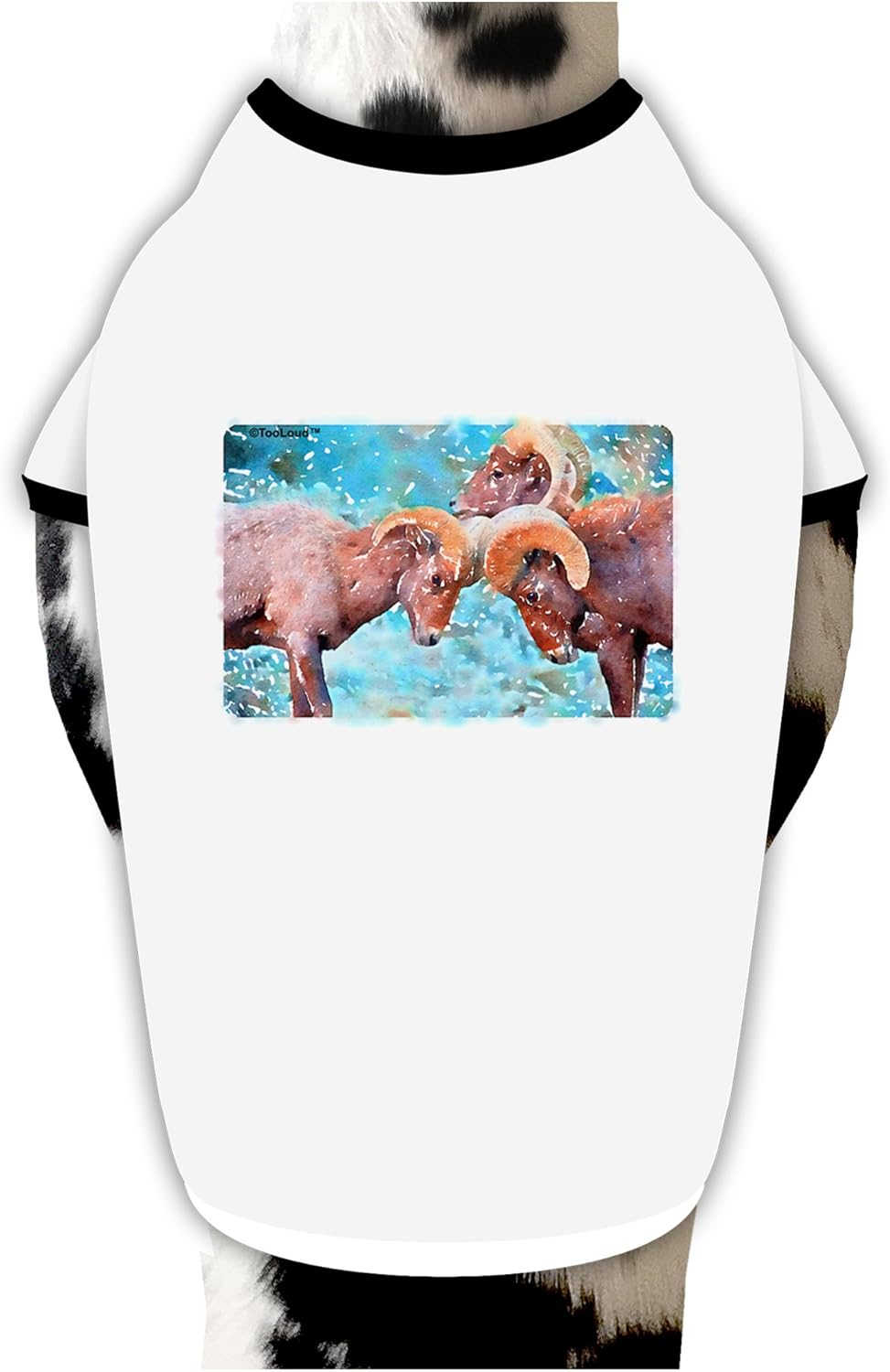 TOOLOUD CO Bighorn Head Butt Watercolor Dog Shirt White with Black XL