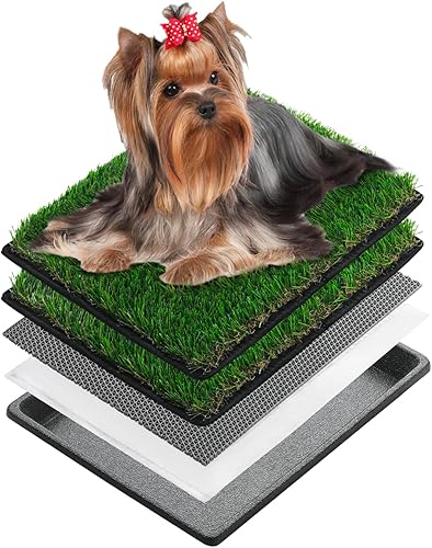 MEEXPAWS Almohadillas para orinar de pasto para perros con bandeja, extra pequeñas de 17 x 13 pulgadas para cachorros de menos de 6 libras, 2