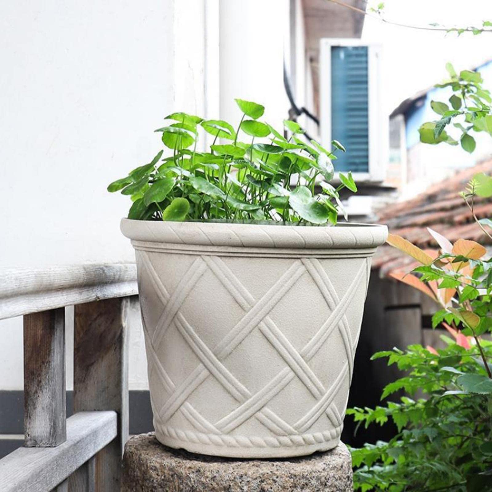 Vaso da Fiori Effetto con Foro per L'acqua, Adatto per Pothos E per Uso Interno Ed Esterno, 12 Pollici
