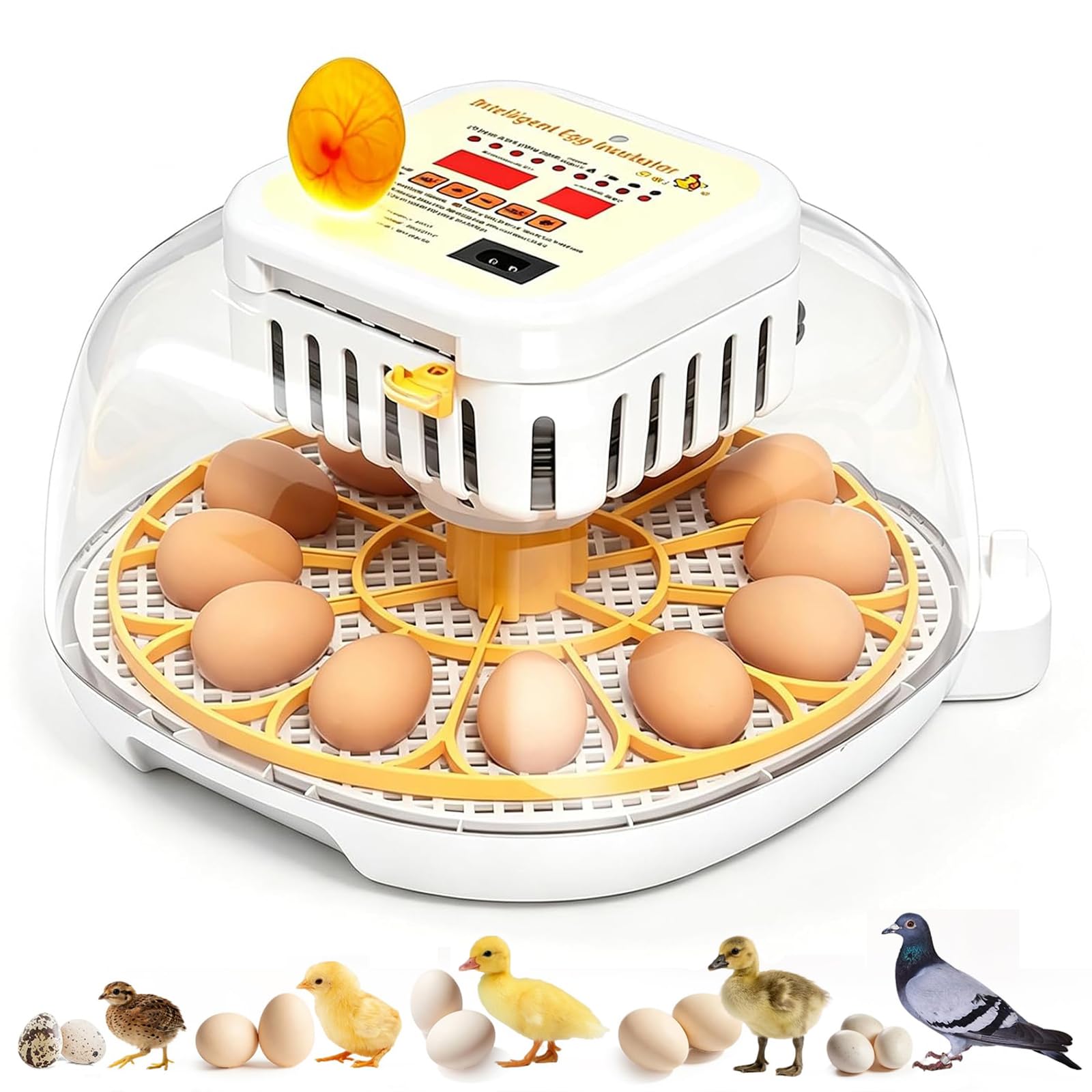 Incubadora de 12 huevos totalmente automática, con rotación automática de huevos, control de temperatura y humedad, adecuado para pollos, patos, gansos, codornices