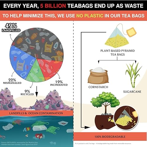 Vista 153 de BREWIX Bolsas de té de albahaca sagrada (15 bolsas de té piramidales) Camiseta con hojas de tulsi y manzanilla Sin cafeína, té de hierbas