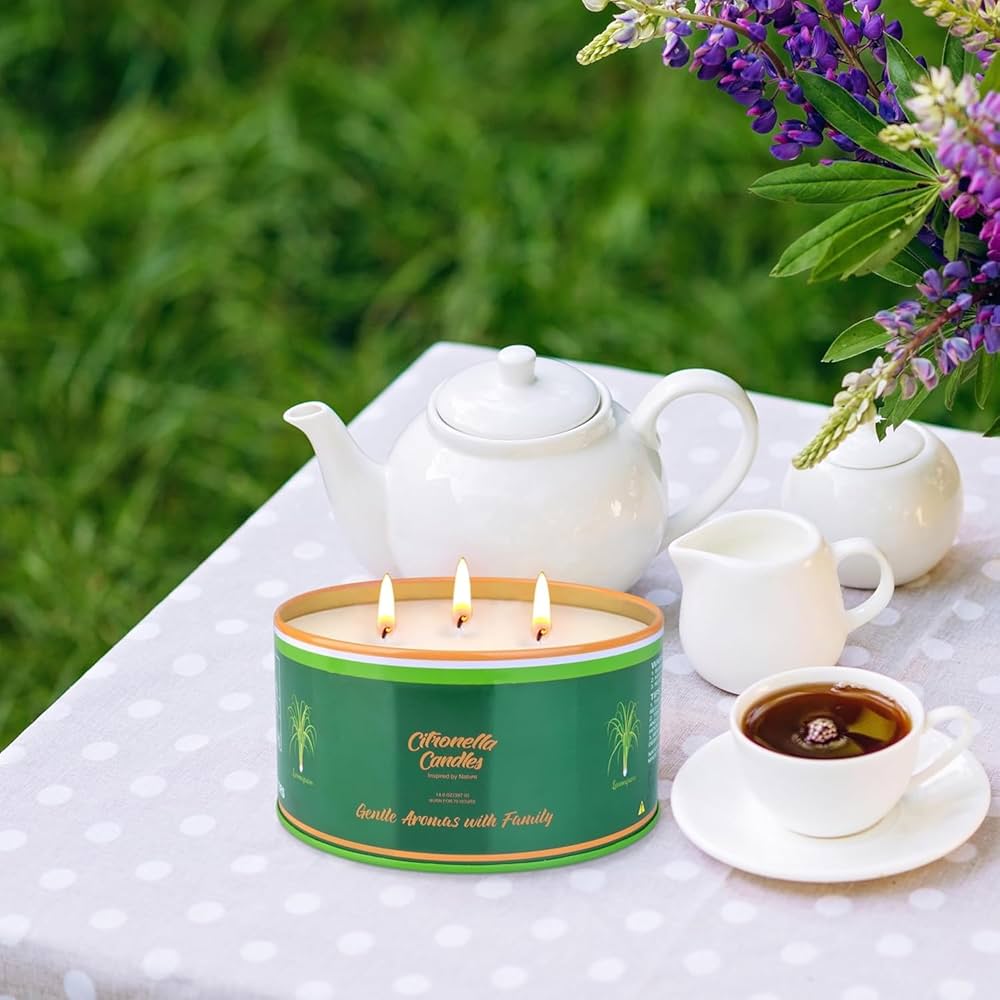 Candela Citronella Set Esterno Grande, 2 X 450g, 100