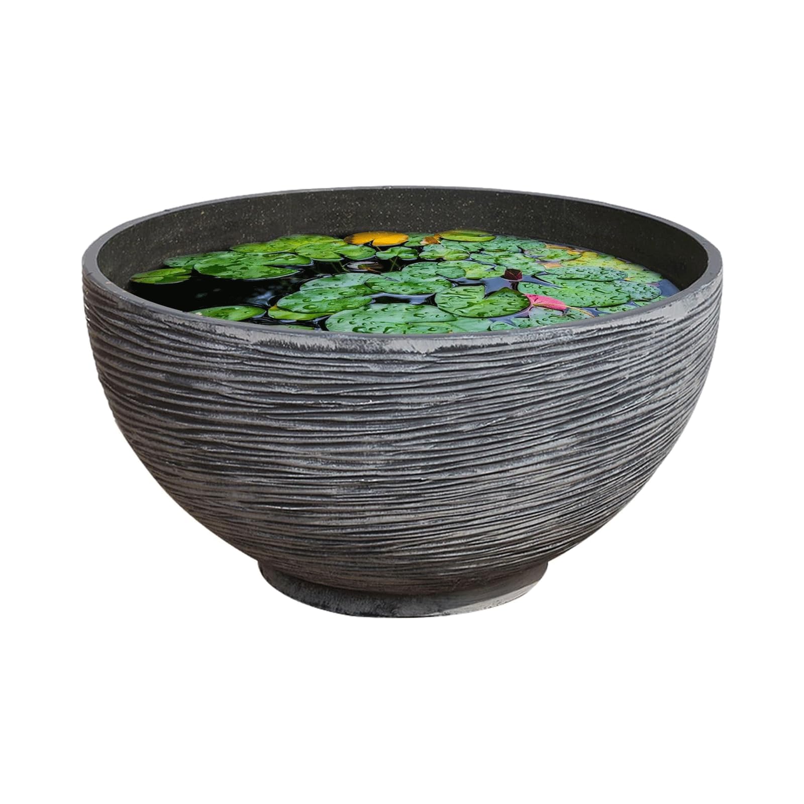 Pots de fleurs extérieurs Yofab : grand bol de jardin pour succulentes et plantes d'eau