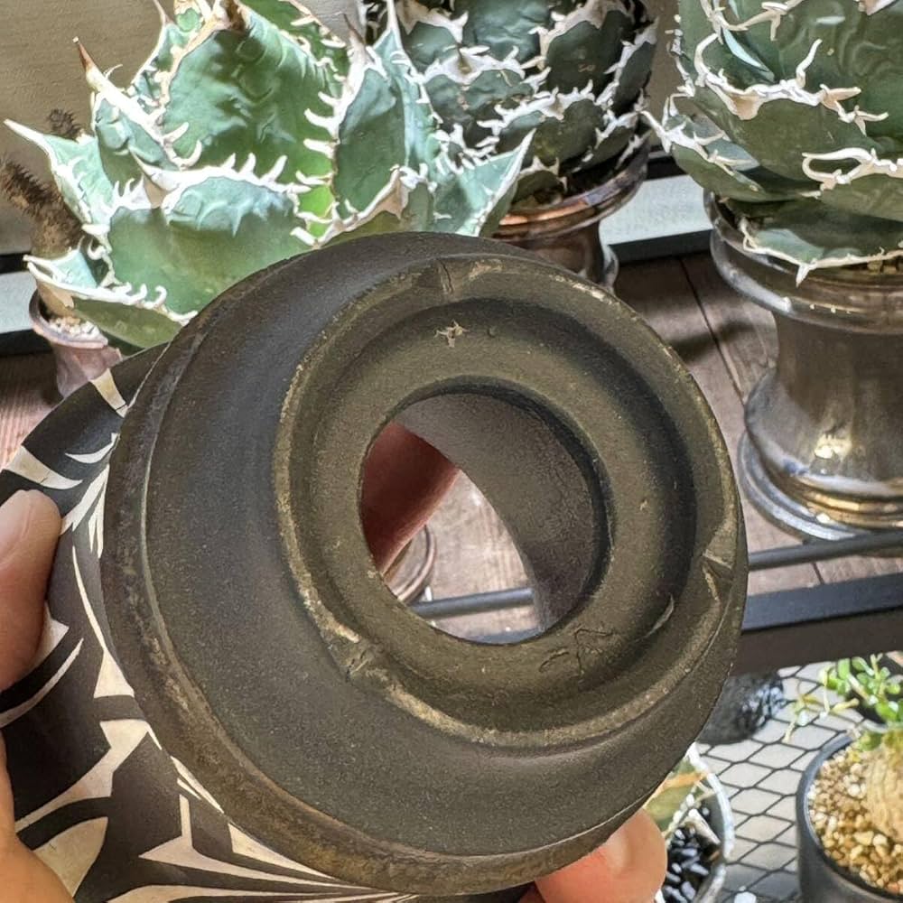 Amazon.co.jp: 大貫弘由岐 作家鉢 植木鉢 陶器鉢 コーデックス