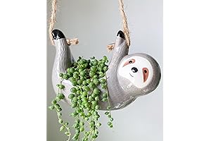 Adorable Sloth Succulent Hanging Planters for Green Thumbs