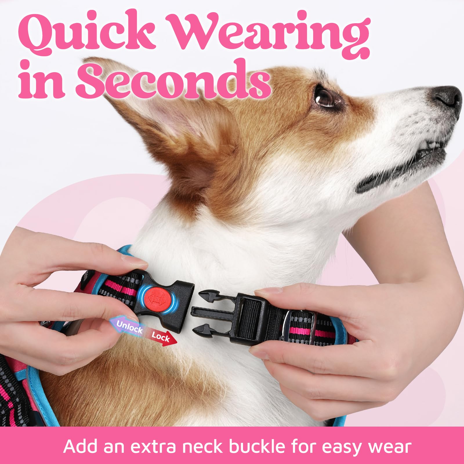 rabbitgoo Harnais pour chien de petite taille, gilet anti-traction pour chien avec 3 boucles, harnais rembourré doux réglable avec poignée de contrôle facile et bandes réfléchissantes, rose et bleu,