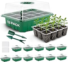 YAUNGEL Mini Greenhouse for Plants, 12 Pieces 144 Cells Indoor Tray Seedling Tray Nursery Grow Box with Durable Lid and Ventilation, Green