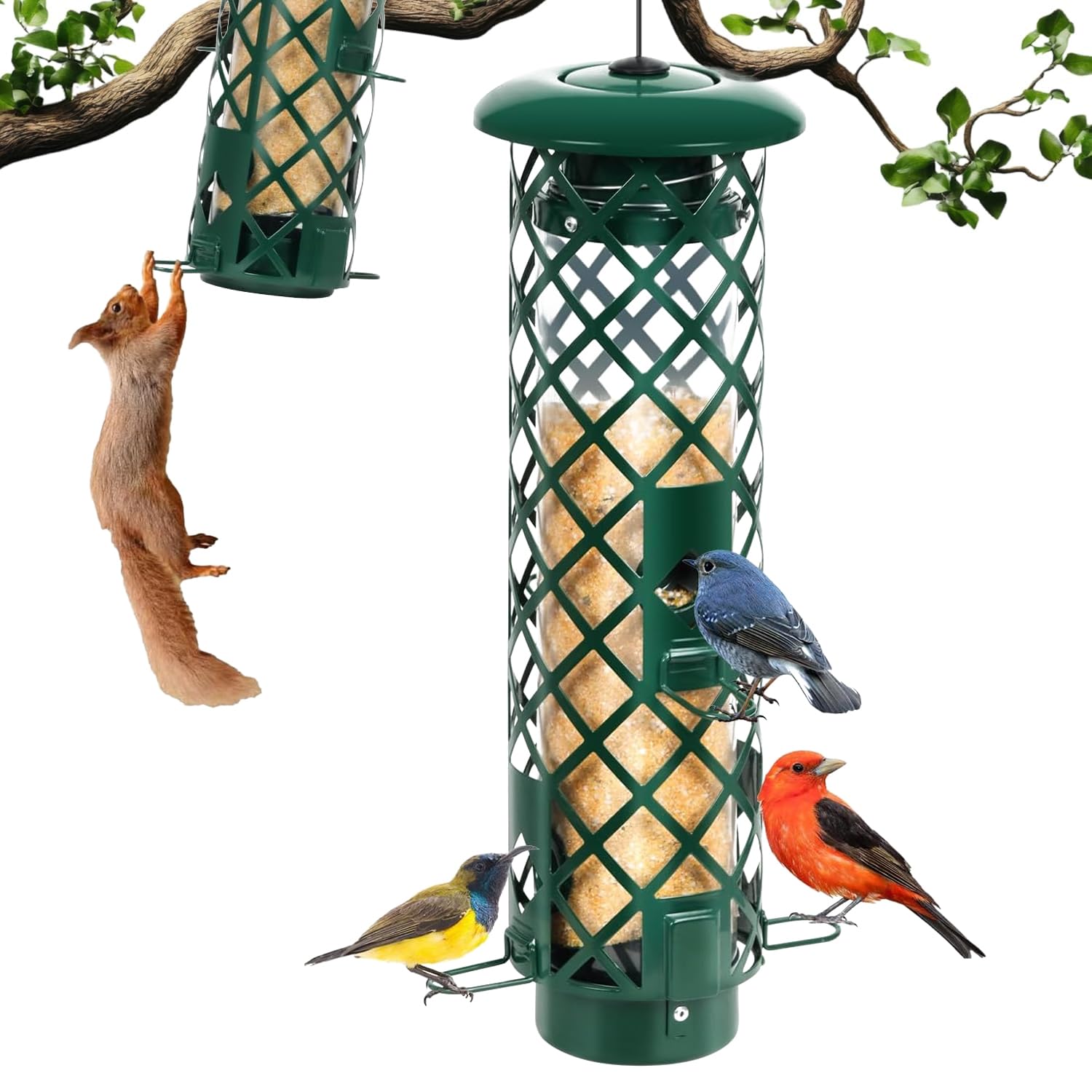 YUGYUM Squirrel Proof Bird Feeder
