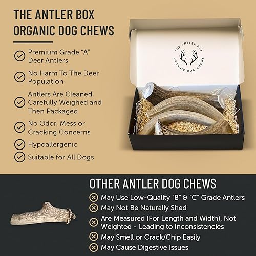 Miniatura 8 de The Antler Box Premium Deer Antler Dog Chews (1 lb Bulk Pack)  Mediano, grande y XL lleno de antídaces, larga duración, orgánico, juguetes de