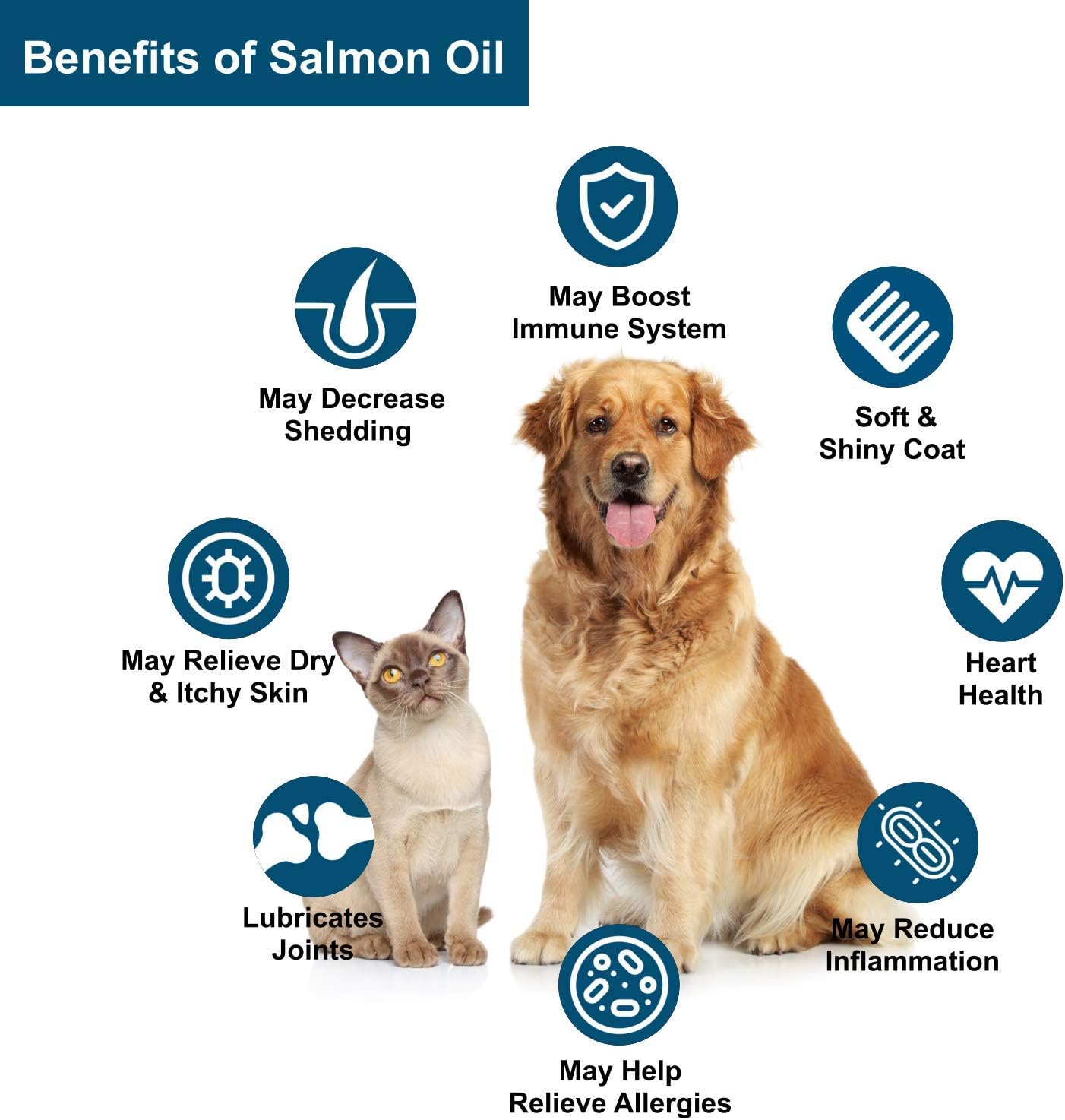 Iceland Pure Unscented Pharmaceutical Grade Salmon Oil - Pure Omega 3, Liquid Food Supplement For Dogs and Cats - BPA-Free Brushed Aluminum Epoxy coated Bottle with Pump 33oz (Pack of 1) : Pet Fish Oil Nutritional Supplements : Pet Supplies