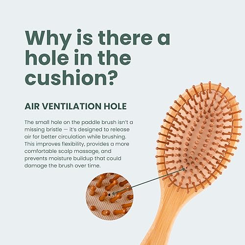 Miniatura 7 de Regrowz Cepillo de pelo de paleta de bambú para mujeres y hombres, cepillo de madera natural para desenredar el cabello y reducir la rotura del