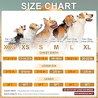 Vista 2 de BEAUTYZOO - Juego de arnés y correa para perros y gatos pequeños, extrapequeños y medianos, arnés tipo chaleco fácil de poner, antiasfixia